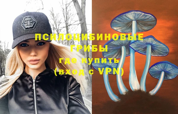 прущая мука Алзамай
