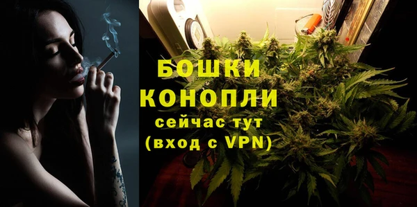 гидропоника Пересвет