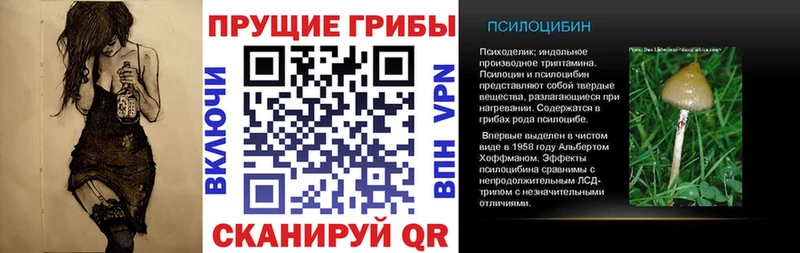 Псилоцибиновые грибы Cubensis  магазин продажи   Заполярный 