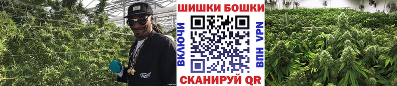 блэк спрут ТОР  купить наркотик  Заполярный  Канабис сатива 